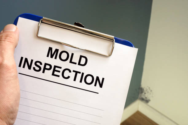 Best Mold Remediation for Healthcare Facilities  in Horseheads North, NY